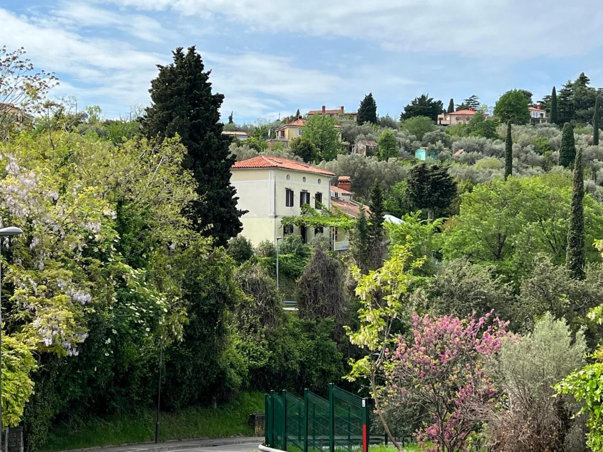 Vista Del Mar Bed & Breakfast Piran Bagian luar foto
